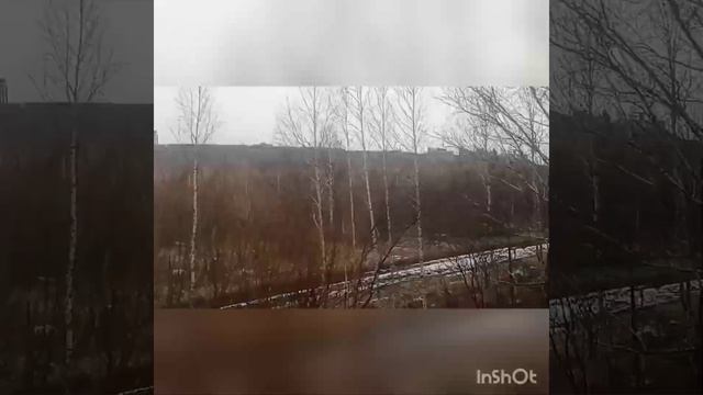 река Енисей из окна электрички Дивногорск- Красноярск, от Слизнево до с.Енисея#рыбаковиздивногорска смотреть онлайн