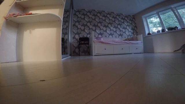 ОДНИ ДОМА 2 КОТ и КОШКА ДОЛГОЖДАННАЯ ВЯЗКА смотреть онлайн