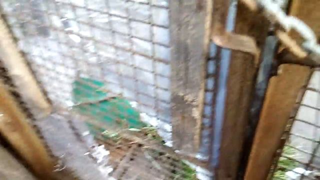 ВЛОГ: /ЛЕБЕДЯНЬ\