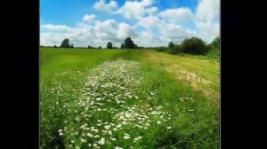 Ольга Воронец - Гляжу в озёра синие