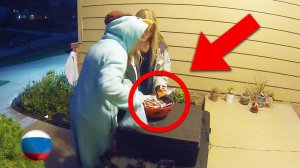 [Mark Rober] Грабители Конфет Vs Миска для Конфет с Сюрпризом [Марк Робер]