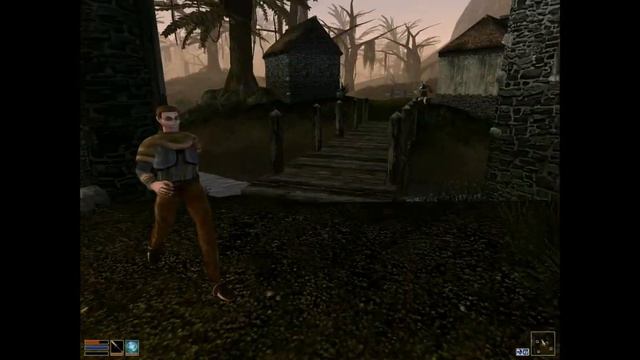 Morrowind - Tribute To Nerevar