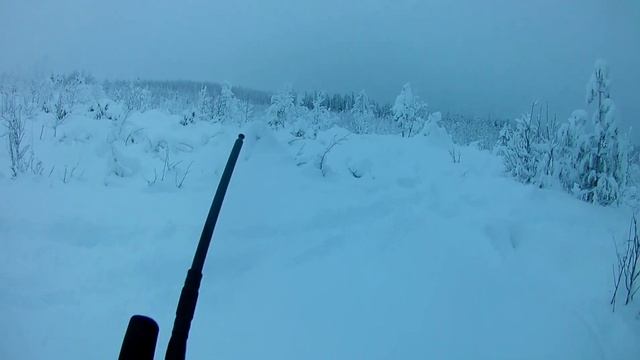 Охота с ВСЛ. Сезон 2019г. Глубокий снег...