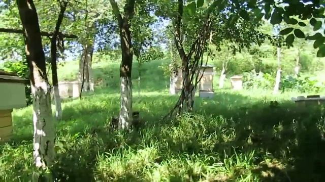 Я САМ НЕ ВЕРЮ, И ВАС ПОЙМУ!!! смотреть онлайн