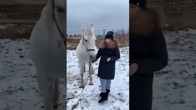 «Литературные псевдонимы писателей» смотреть онлайн