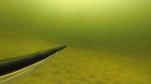 Зимняя подводная охота на Волге