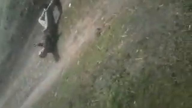 Много пить вредно смотреть онлайн