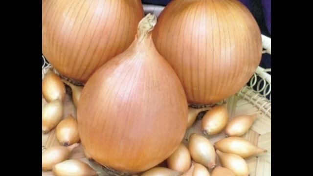 Лук сажать надо обязательно в этот день!!! смотреть онлайн