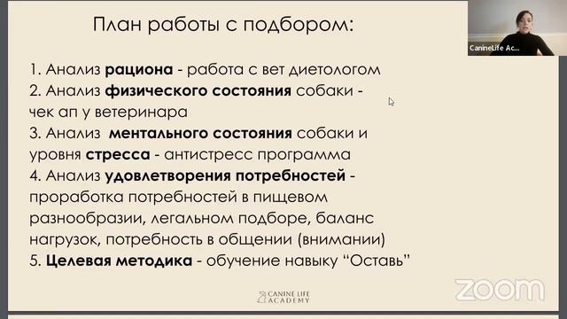 «Собака подбирает с земли. Что делать?» смотреть онлайн