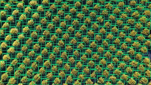 sky crops - Tree Detection using TensorFlow Object Detection API ▮ sky gate смотреть онлайн