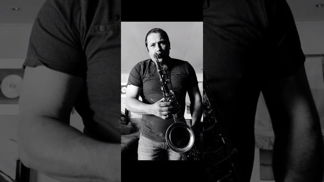 The House of the Rising Sun. David Kreuz. Tenor Saxophone Selmer Super Action 80 Serie 1 смотреть онлайн