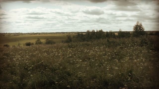 СКАЗОЧНАЯ КАРТИНКА С Black Magic Pocket Cinema Camera смотреть онлайн