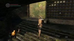 Dark Souls полное прохождение и DLC #1