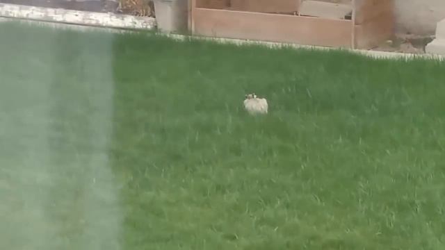 хороший прикол видео смотреть онлайн