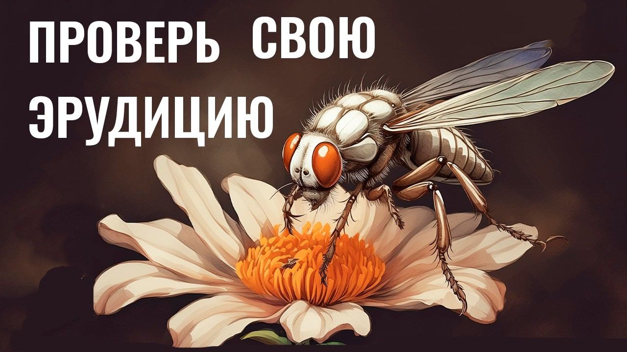 Интересные тесты на эрудицию № 61 #тестнаэрудицию #эрудиция смотреть онлайн
