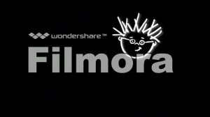 Opening To Baby Shakespeare 2004 DVD In G Major