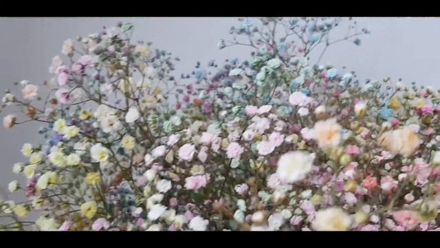 Большая коробка с гипсофилой смотреть онлайн