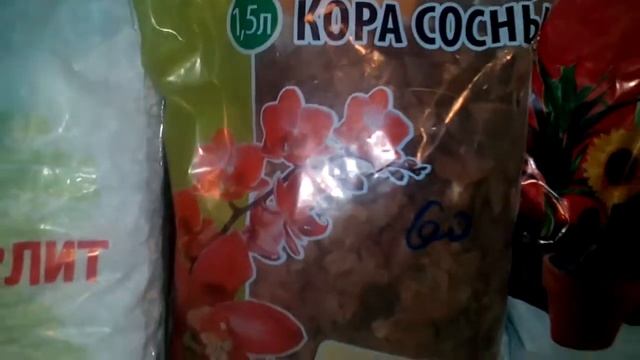 Грунт для выращивания Хойи