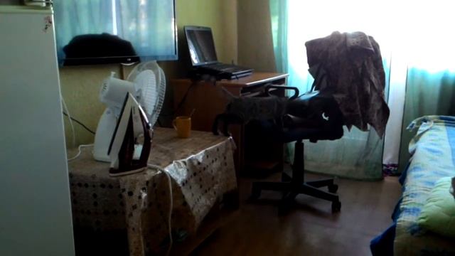 Котёнок бесится. Хочет гулять смотреть онлайн