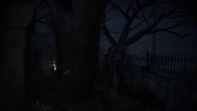 Resident Evil 7 VR max hardness episode 14 (Гибель Зои) смотреть онлайн