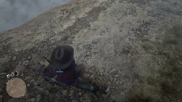 Red Dead Redemption 2 баги фэйлы лошадь и приколы смотреть онлайн