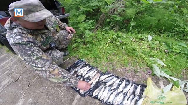 Рейд по рекам Кузбасса смотреть онлайн