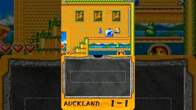New Zealand Story Revolution (Nintendo DS) смотреть онлайн