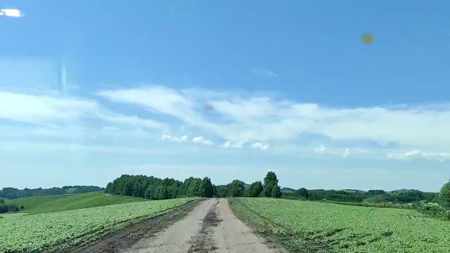 Алтайский край
