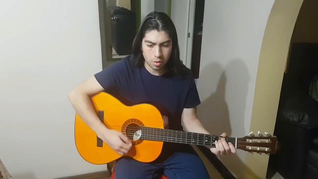 Canción "De Cuerpo Entero" de Violeta Parra смотреть онлайн