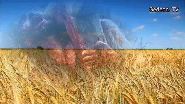 Эти слова нужно, чтобы услышал каждый грешник. смотреть онлайн