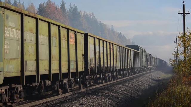 Грузовой поезд на перегоне Обозерская — разъезд 1008 км, 18.09.2019, Архангельская область смотреть онлайн