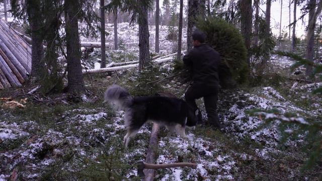 7-Day Solo Bushcraft Adventure: Building A Winter Wilderness Shelter