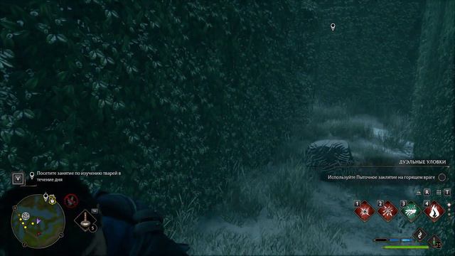 Hogwarts Legacy Лабиринт смотреть онлайн