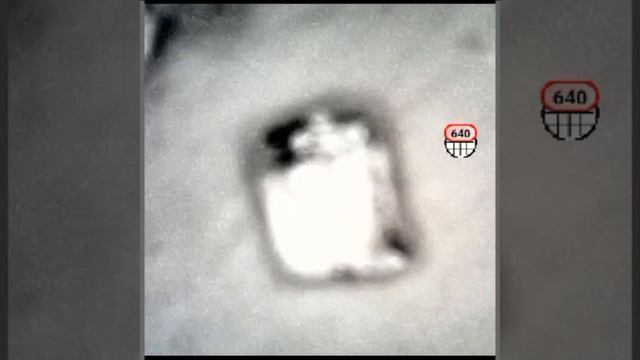 пять предметов под микроскопом смотреть онлайн