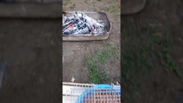 Рыбалка в КБР !!! Как сделать шашлык из карпа !!!! смотреть онлайн