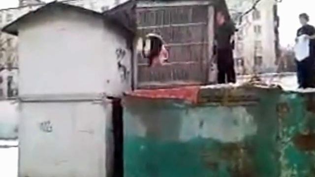 06.01.2012 смотреть онлайн