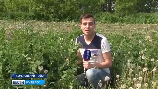 16. 06. 2017 Заготовка кормов смотреть онлайн