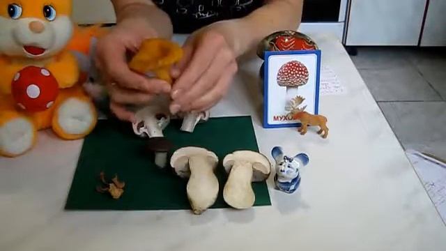 Грибы смотреть онлайн