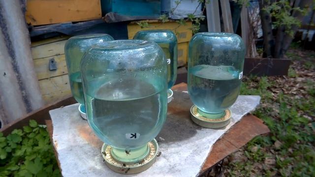 5 факторов быстрого развития пчёл. смотреть онлайн