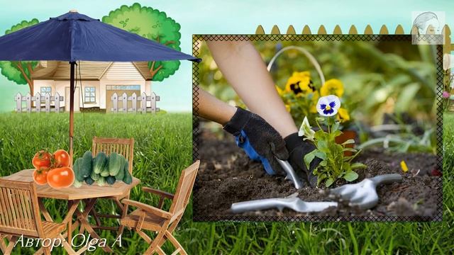 Дачные истории ( Проект для ProShow Producer) смотреть онлайн