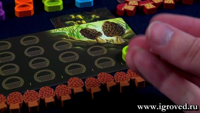 Грибные места. Обзор настольной игры от Игроведа смотреть онлайн