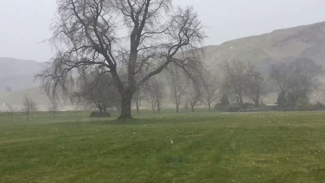 Holyrood Palace смотреть онлайн