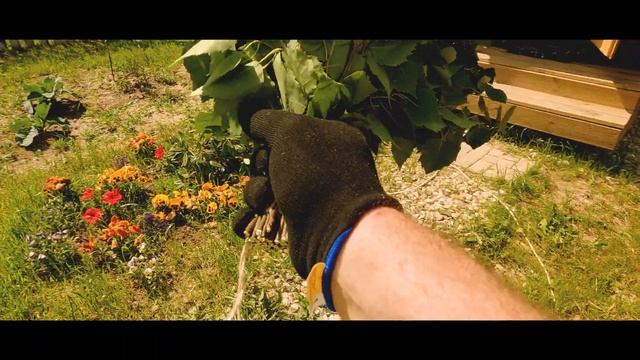 Вязка веника для бани / способ смотреть онлайн