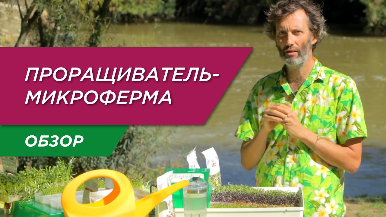 Как прорастить микрозелень дома? Обзор микрофермы EasyGreen EGL 55 смотреть онлайн