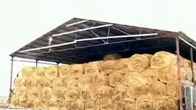 видео обзор ООО 