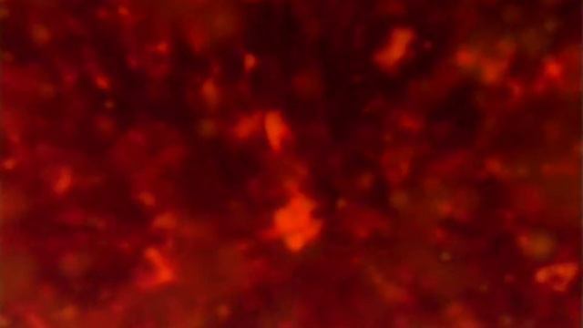 Galaxy Deep Space Carbon By Mariarty