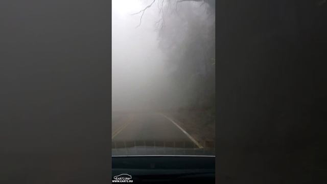 Дорога в «Гигантский лес» национального парка «Секвойя» в Калифорнии смотреть онлайн