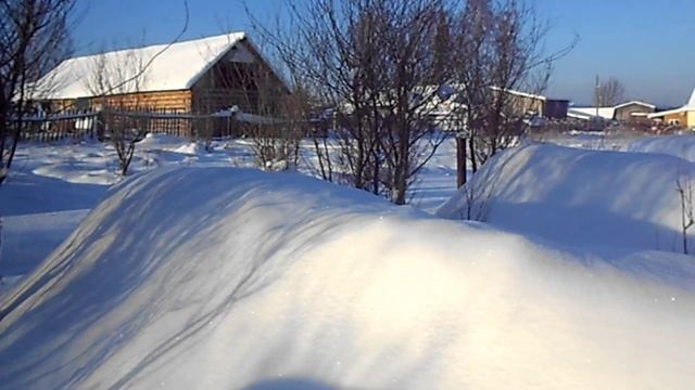 Миф или реальность ? Анабиоз пчёл при зимовке под снегом смотреть онлайн