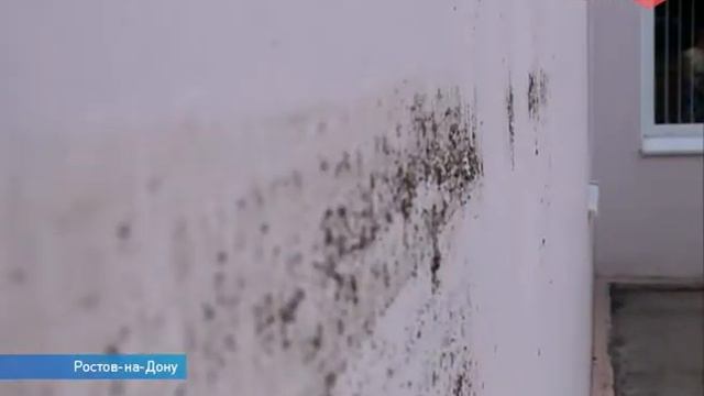 Глава управления ГО и ЧС Артур Хостов подал заявление по собственному желанию смотреть онлайн