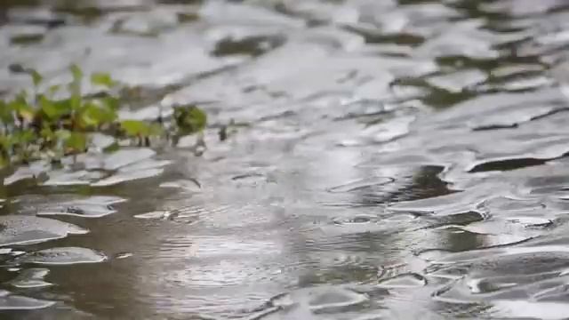 몸과 마음을 편한 하게 만드는 빗소리 8시간 재생 | 백색소음 | 자장가 | 빗소리ASMR | Relaxing смотреть онлайн